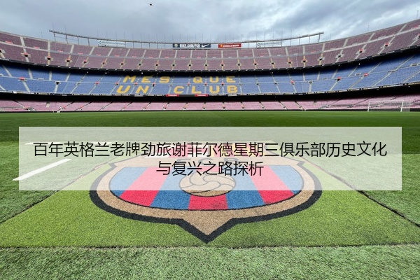 百年英格兰老牌劲旅谢菲尔德星期三俱乐部历史文化与复兴之路探析