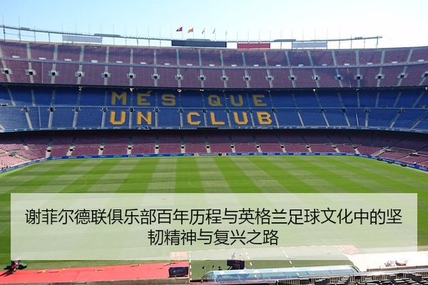 谢菲尔德联俱乐部百年历程与英格兰足球文化中的坚韧精神与复兴之路
