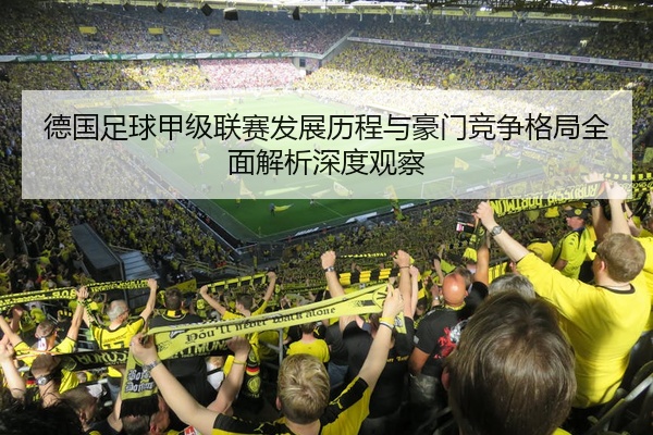 德国足球甲级联赛发展历程与豪门竞争格局全面解析深度观察