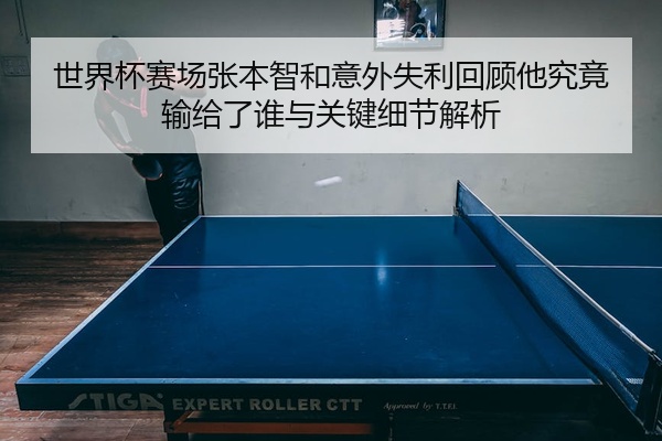 世界杯赛场张本智和意外失利回顾他究竟输给了谁与关键细节解析