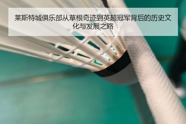 莱斯特城俱乐部从草根奇迹到英超冠军背后的历史文化与发展之路