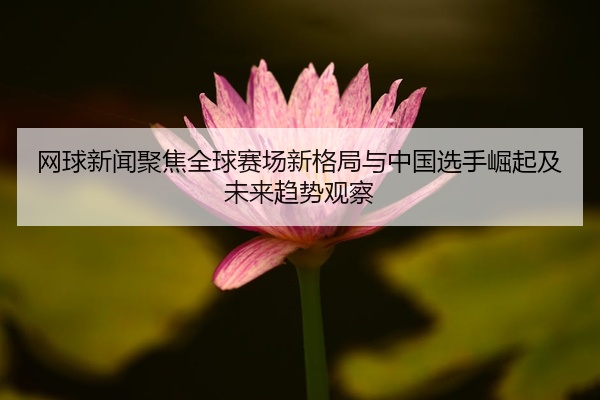 网球新闻聚焦全球赛场新格局与中国选手崛起及未来趋势观察