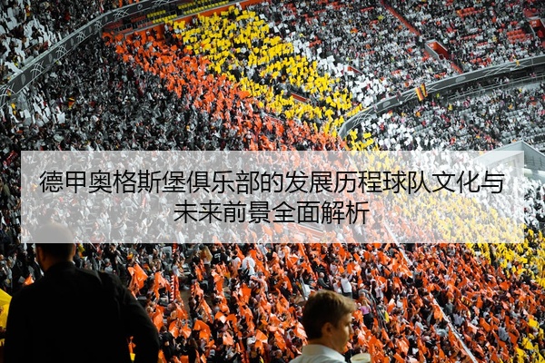 德甲奥格斯堡俱乐部的发展历程球队文化与未来前景全面解析