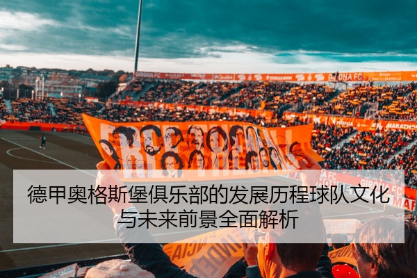 德甲奥格斯堡俱乐部的发展历程球队文化与未来前景全面解析