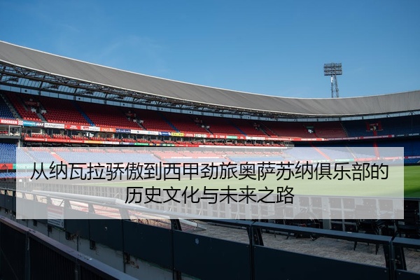 从纳瓦拉骄傲到西甲劲旅奥萨苏纳俱乐部的历史文化与未来之路