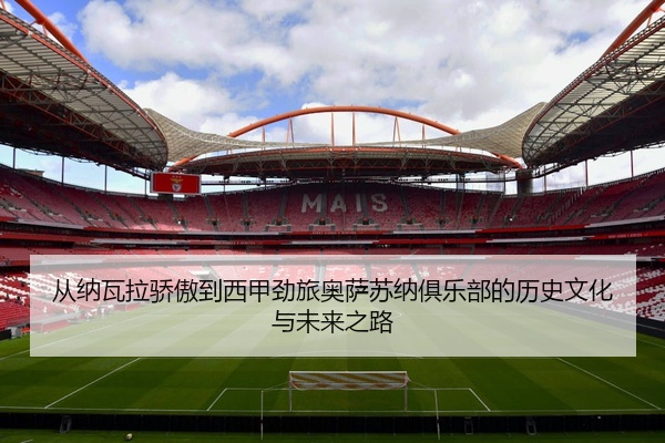 从纳瓦拉骄傲到西甲劲旅奥萨苏纳俱乐部的历史文化与未来之路